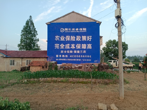 景德镇墙体广告的优劣势你知道吗？